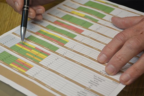 Nada além de uma linda ilusão